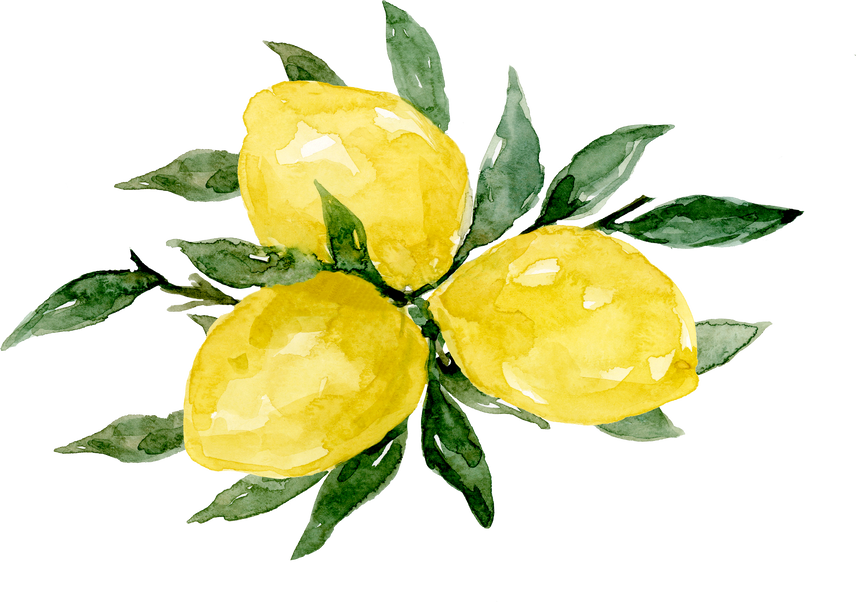 Watercolor Lemons Illustration